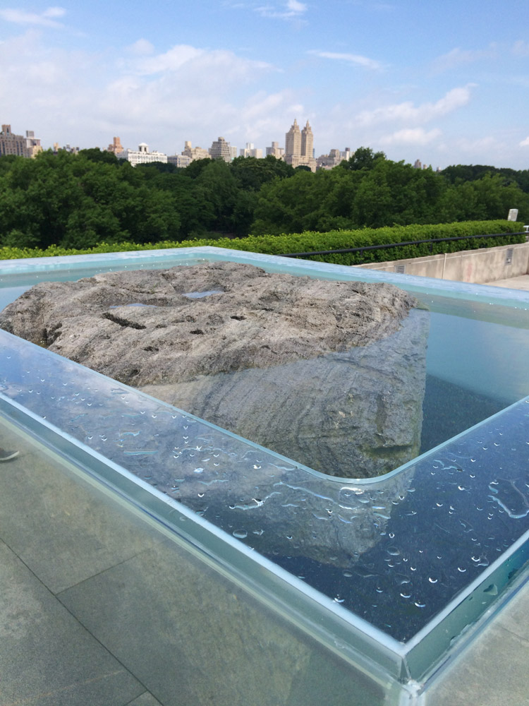 Pierre Huyghe's Roof Garden Commission at the Met Museum in NYC.
