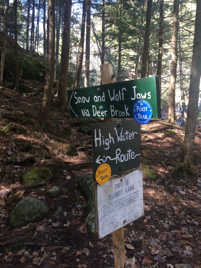Signs on a hike for Snow and Wolf Jaws trails, and Deer Brook Trail, and the High Water Route